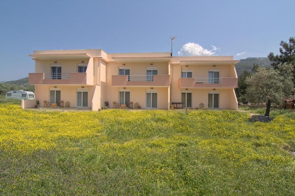 Studios Dimitraki Skala Rachoni  Room photo